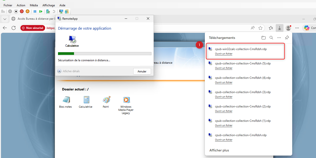 RemoteApp client ex&eacute;cution